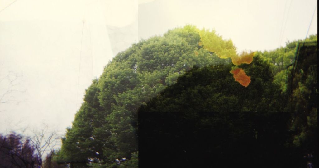 You-Are-My-Sunshine-cover